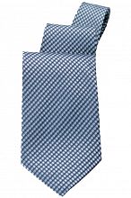 Blue Check Tie [T0000BCK]